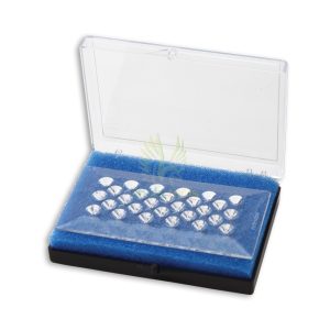 S-1630 & S-1631 Acrylic Diamond Holders in plastic box (with foam)
