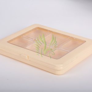S-2074 Window Plastic Box with 6 Rectangular Containers