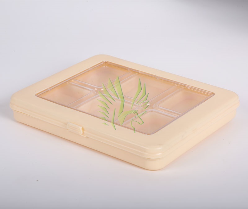 S-2074 Window Plastic Box with 6 Rectangular Containers