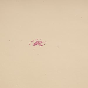 S-2371 Jewels for Watches